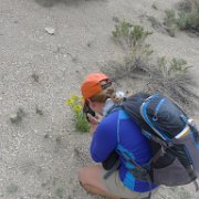 MonoBasin 009 : MonoBasin